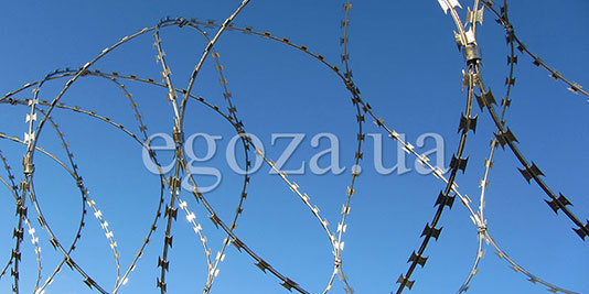 Заграждения спиральные Егоза