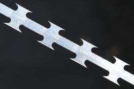 Колючая лента Егоза