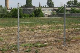 Забор из колючей проволоки Егоза