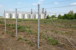 Забор из колючей проволоки