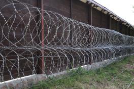 Две спирали Егоза Аллигатор на стене здания