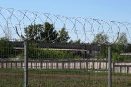 Спиральный барьер Егоза Кайман на заборе из сварной сетки