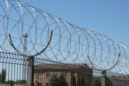 Колючая спираль Егоза Кайман