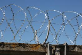 СББ Егоза Кайман