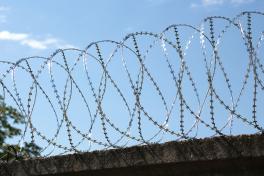 Спираль Егоза крупным планом