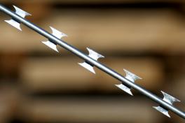 Barbed wire Egoza Alligator