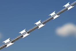 Egoza Alligator barbed wire against the sky