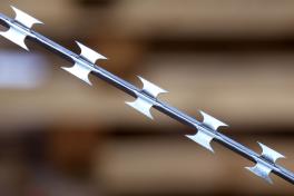 Barbed wire Egoza Alligator