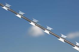 Егоза Стандарт