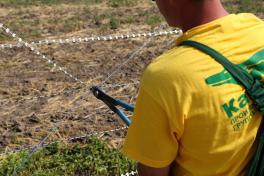 Монтаж колючей проволоки Егоза