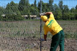 Монтаж колючей сетки Егоза на забор из сварной сетки