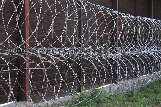 Ягоза или Егоза?