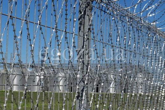 Забор из сварных панелей и колюче-режущей сетки