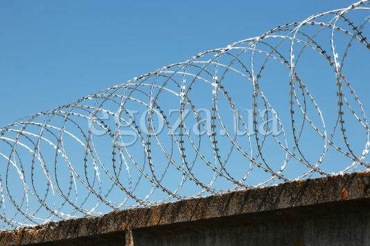 Колчее заграждение Егоза Кайман