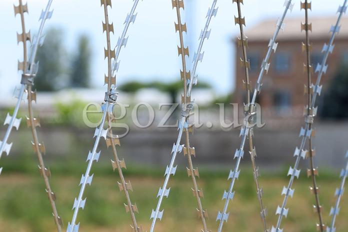 Забор из колючей проволоки – колючая сетка Егоза