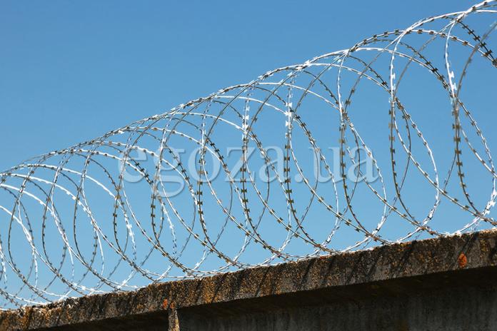 Колчее заграждение Егоза Кайман