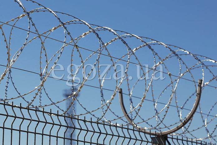 Колючее заграждение Егоза Стандарт