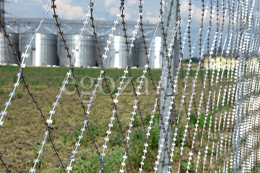 Fence from Egoza razor mesh