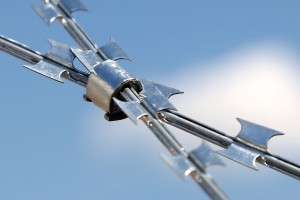 Standard clip on Egoza barbed wire