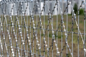 Egoza barbed mesh on welded mesh fence