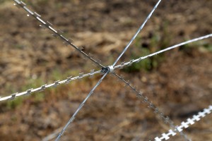 Clip on Egoza barbed wire