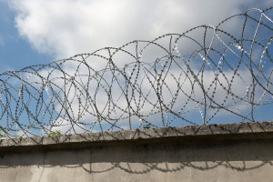 Двойной барьер Егоза на бетонном заборе