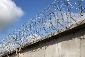 Двойной барьер Егоза на заборе из бетонных плит