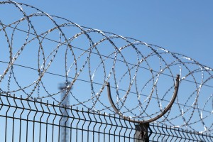Concertina security barrier Egoza Standard on a metal fence