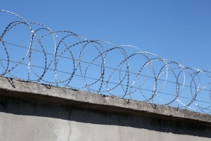 Спиральный барьер Егоза Стандарт на бетонном заборе
